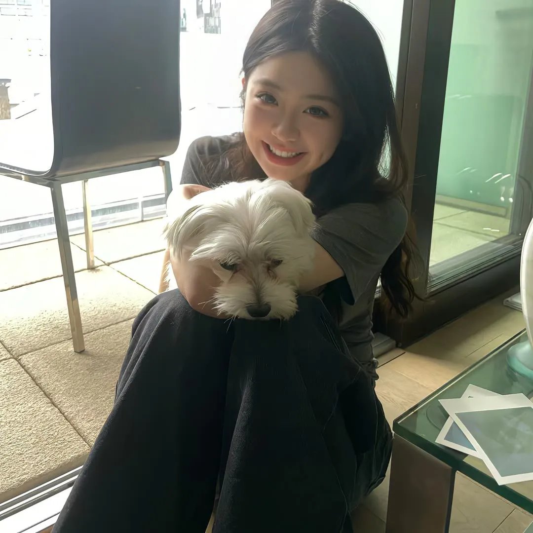 完美嫌疑人
